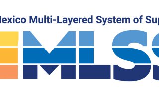 MLSS Logo